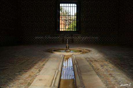SEVILLA: REALES ALCÁZARES...Parte II: JARDINES