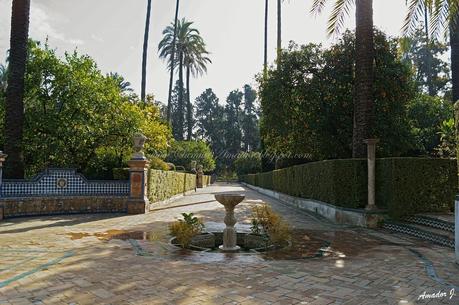 SEVILLA: REALES ALCÁZARES...Parte II: JARDINES