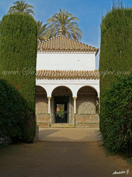SEVILLA: REALES ALCÁZARES...Parte II: JARDINES