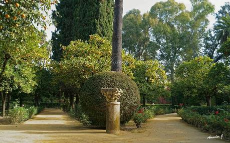 SEVILLA: REALES ALCÁZARES...Parte II: JARDINES
