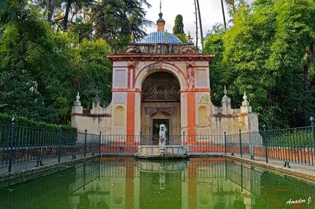 SEVILLA: REALES ALCÁZARES...Parte II: JARDINES