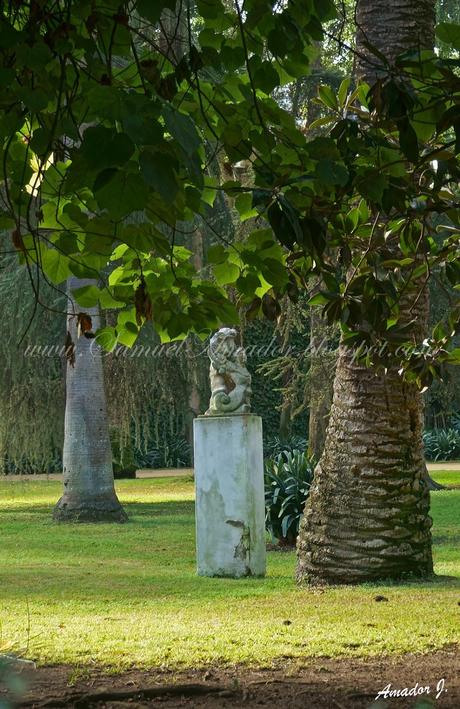 SEVILLA: REALES ALCÁZARES...Parte II: JARDINES