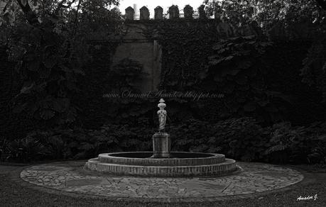 SEVILLA: REALES ALCÁZARES...Parte II: JARDINES