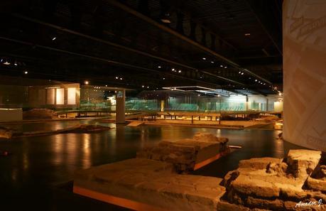 SEVILLA: ANTIQUARIUM