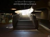 Sevilla: antiquarium