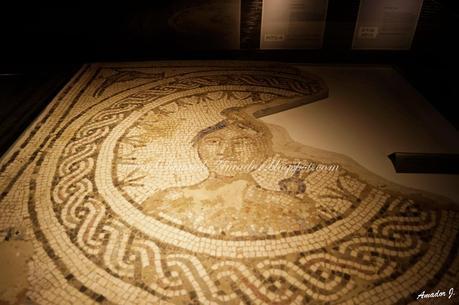 SEVILLA: ANTIQUARIUM