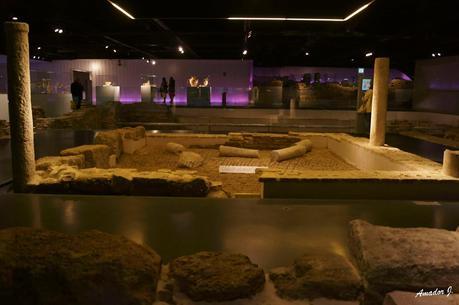 SEVILLA: ANTIQUARIUM