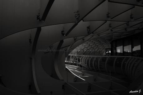 SEVILLA: VISTAS desde el METROPOL PARASOL