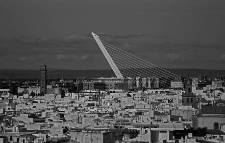 SEVILLA: VISTAS desde el METROPOL PARASOL
