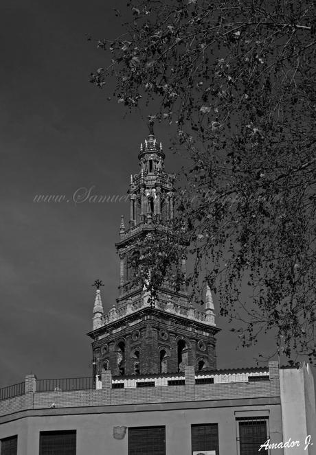 CARMONA Parte 2/2 (Sevilla)