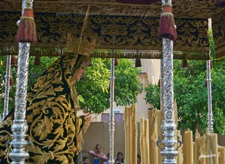 Semana Santa 2014: Hermandad de los Servitas de Sevilla