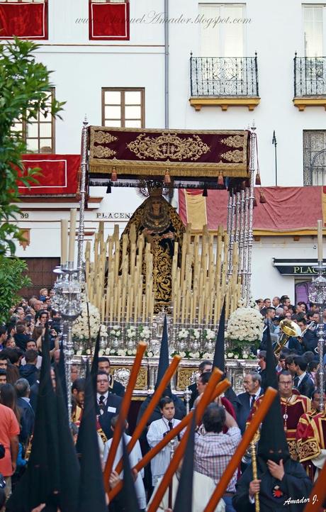 Semana Santa 2014: Hermandad de los Servitas de Sevilla