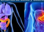 ¿Cuáles diferencias entre Síntomas Colitis Gastritis?