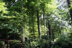 Los Toreros Muertos y las aguas residuales depuracion de aguas residuales