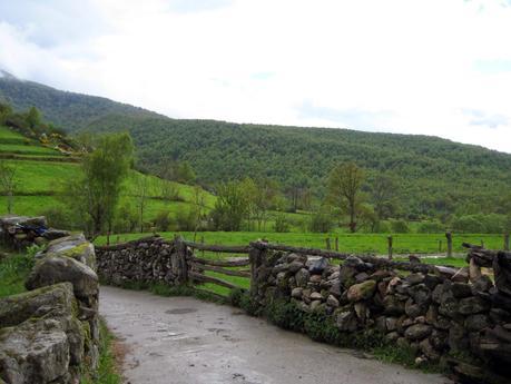 Caminos en la lluvia Caminos en la lluvia