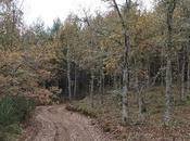 senderismo montaña Palentina