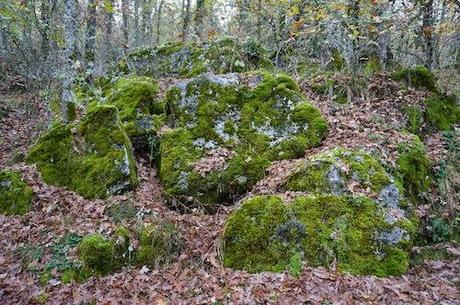 De senderismo por la montaña Palentina