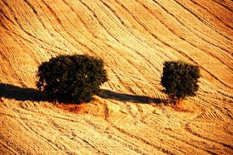 ¿LA PAREJA ES SIEMPRE POSITIVA PARA AMBOS? (y II) ¿La pareja es siempre positiva para ambos? (y II)