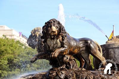 Los leones de Cibeles