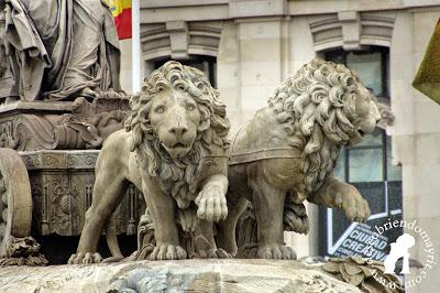 Los leones de Cibeles