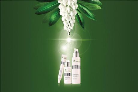 Nueva línea anti-manchas