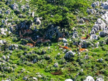 Pico Mirueño y Múa desde el Alto la Llama