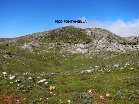 Pico Mirueño y Múa desde el Alto la Llama