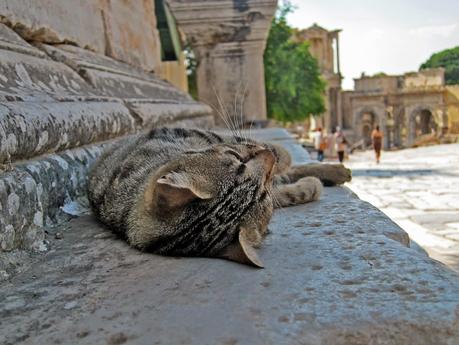 VIAJE A TURQUÍA (RUINAS DE ÉFESO)