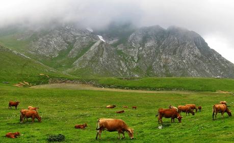 Circular en torno al Siegalavá y Tapinón (intento fallido al Fariñentu)