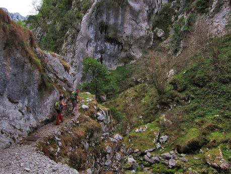 PUENTE LA VIDRE - CUETO LAS VACAS - CUETO CARRASPION Y FOZ DEL RUBÓ  (PARTE 2)