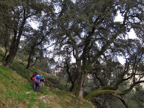 Puente la Vidre - Cueto las Vacas - Cueto Carraspión y Foz del Rubó (Parte 1)