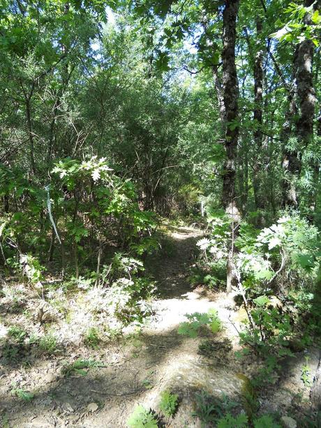 IV CARRERA GARGANTA DE LOS INFIERNOS. JERTE. ABRIL 2014. Crónica de me asomé al Olimpo de los Dioses del Ultrafondo y acabé sintiéndome como Dante en su Divina Comedia.