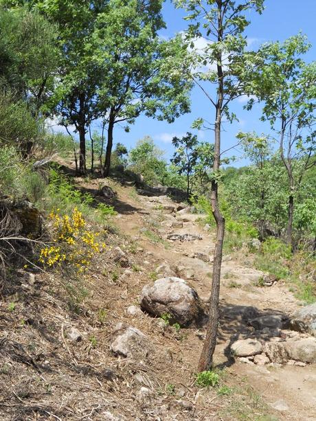 IV CARRERA GARGANTA DE LOS INFIERNOS. JERTE. ABRIL 2014. Crónica de me asomé al Olimpo de los Dioses del Ultrafondo y acabé sintiéndome como Dante en su Divina Comedia.