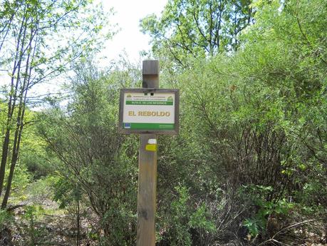IV CARRERA GARGANTA DE LOS INFIERNOS. JERTE. ABRIL 2014. Crónica de me asomé al Olimpo de los Dioses del Ultrafondo y acabé sintiéndome como Dante en su Divina Comedia.