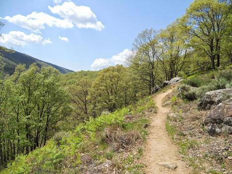 IV CARRERA GARGANTA DE LOS INFIERNOS. JERTE. ABRIL 2014. Crónica de me asomé al Olimpo de los Dioses del Ultrafondo y acabé sintiéndome como Dante en su Divina Comedia.