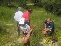 CARTA DE ENTRADA AL CLUB DE LOS PRETORIANOS DE TOMARES