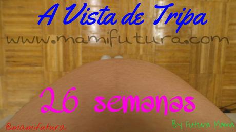 A Vista de Tripa XXII