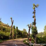 Por Tierras de Burgos (4): Ruta por las Merindades
