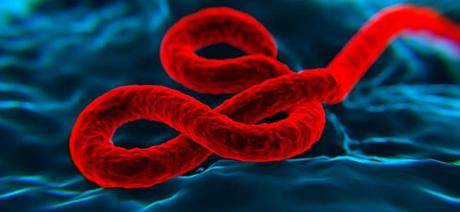 Vacuna contra el Ebola
