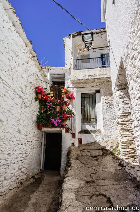 7 razones por las que debes ir a Trevélez