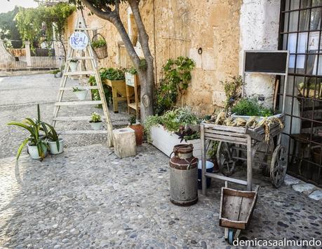 Un paseo para recordar: La Biogranja Un paseo para recordar: La Biogranja