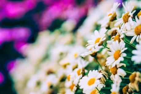 Trucos para ser más feliz: Suspirar a menudo