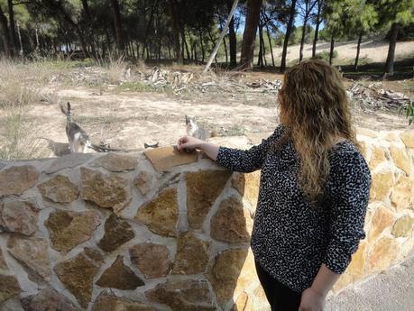 Blusa de corazones Blusa de corazones