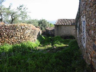 VISITA FOTOGRÁFICA POR ARCO