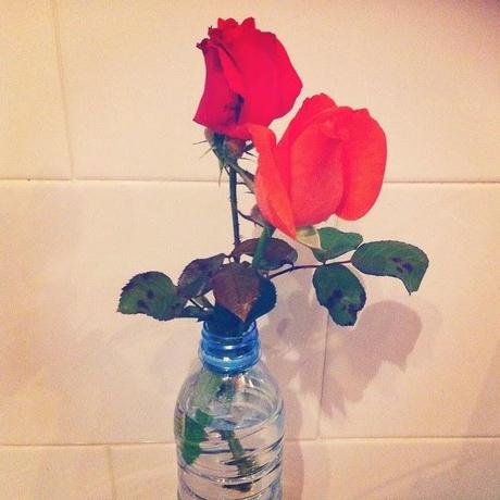 REGALOS IMPROVISADOS