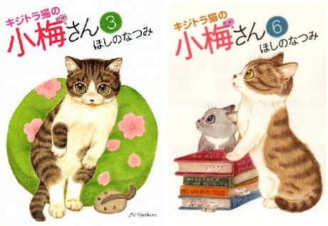 Próximas licencias: Norma, Planeta y Tomodomo