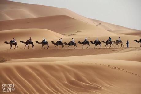 Caravana de camellos en el desierto del Sahara