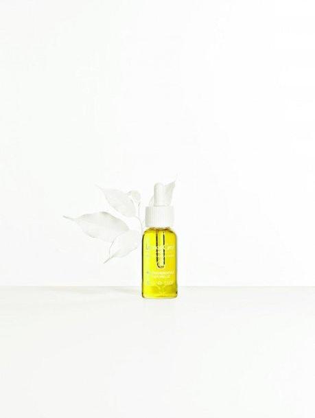 Leonor Greyl te Ayuda a Regenerar tu Cuero Cabelludo