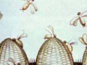 vida abejas. Maeterlinck