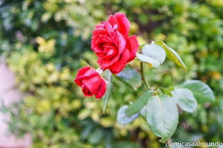 Biniagual, un pueblo reconstruido desde las ruinas Biniagual, un pueblo reconstruido desde las ruinas